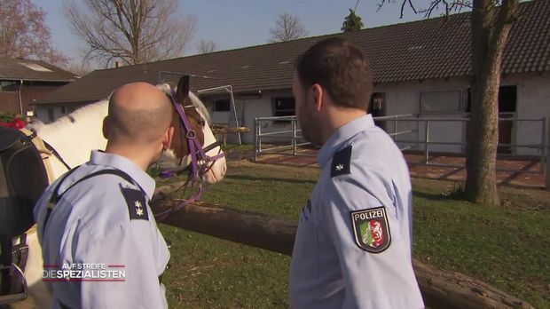 Auf Streife - Die Spezialisten - Auf Streife - Die Spezialisten - Da Steht Ein Pferd Auf Weiter Flur