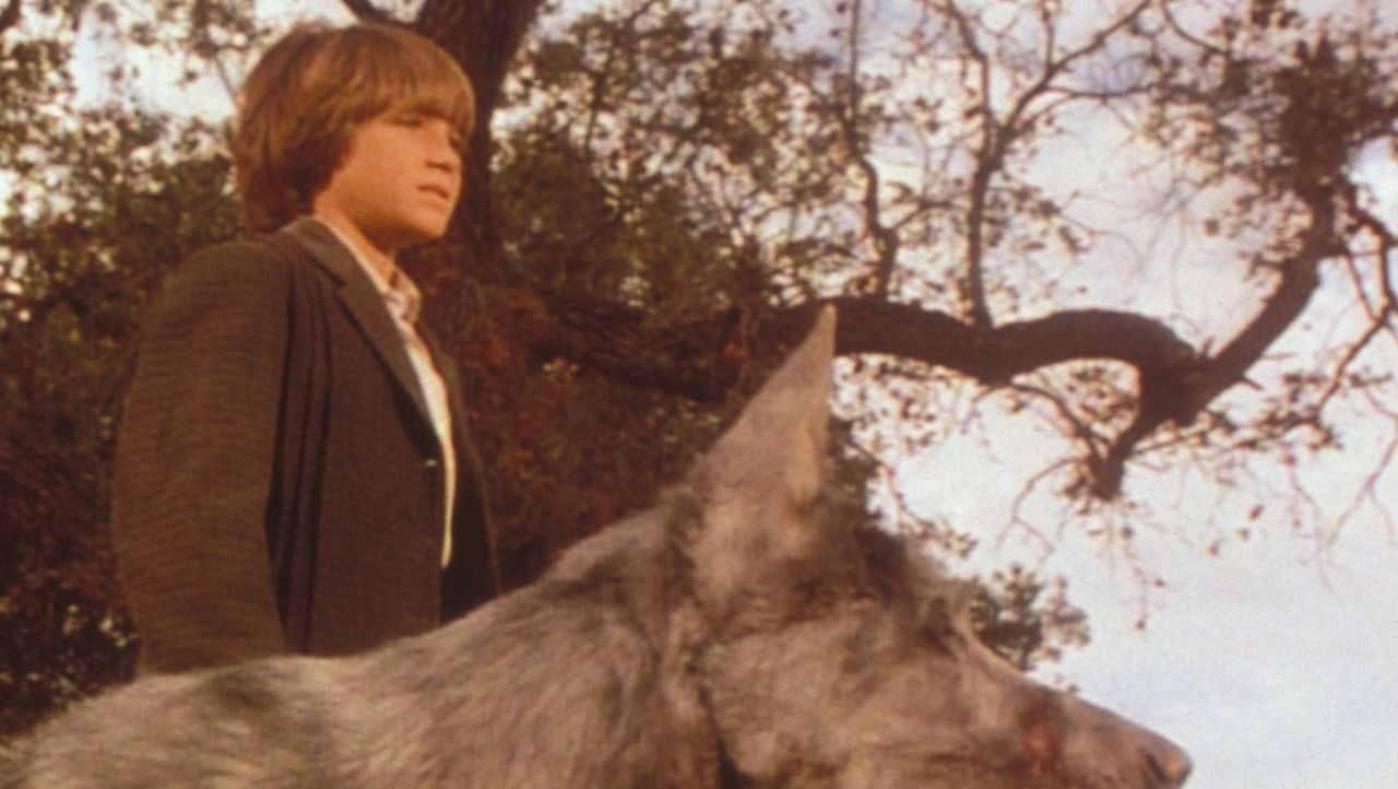 Unsere kleine Farm Ein echter Freund Sat.1 Gold