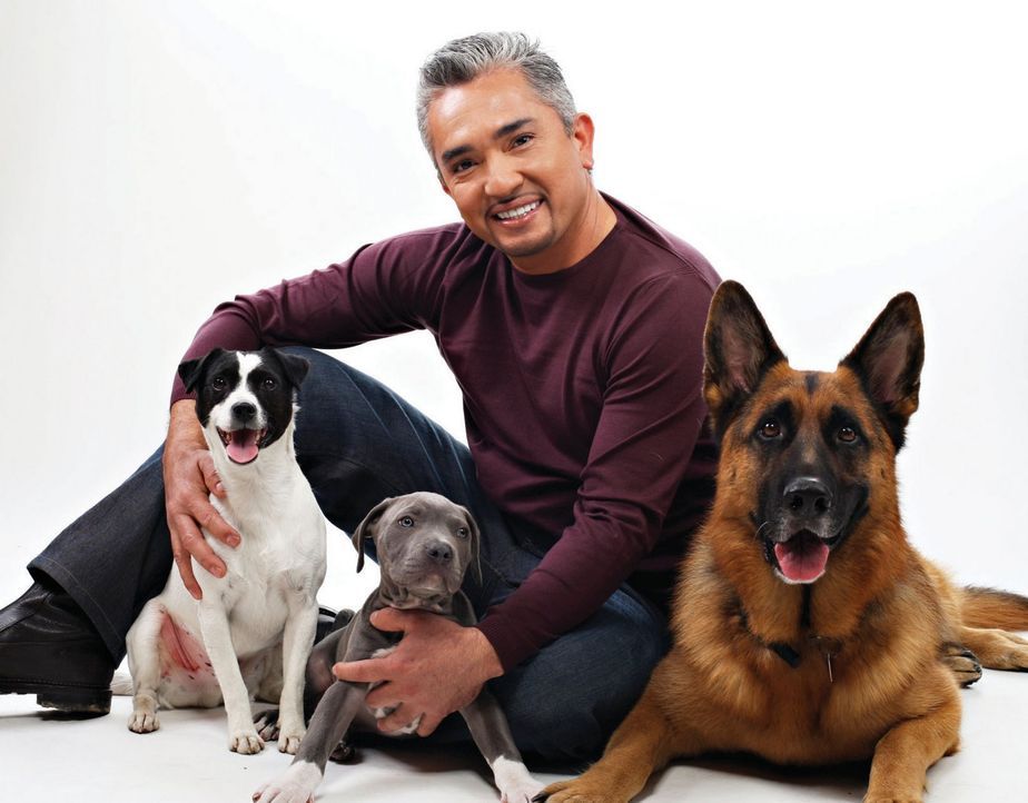 Cesar Millan Auf den Hund gekommen Die ersten Bilder