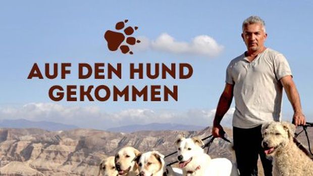 Cesar Millan Auf den Hund gekommen 7TV