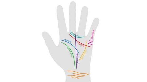 Handfläche lebenslinie Handlinien: Das