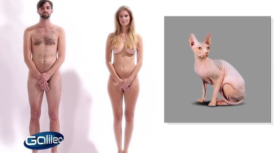 frauen nackt vorgeführt nacktschwimmen bilder frauen nackt vorgeführt nacktschwimmen bilder