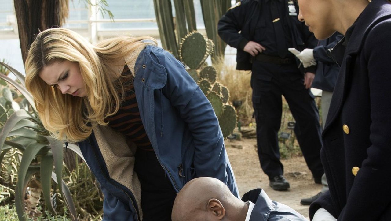 Detective Laura Diamond - Laura und die persönliche Krise 