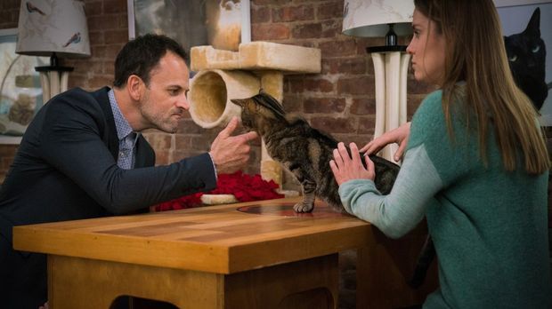 Elementary - Elementary - Staffel 4 Episode 9: Mord Ex Machina