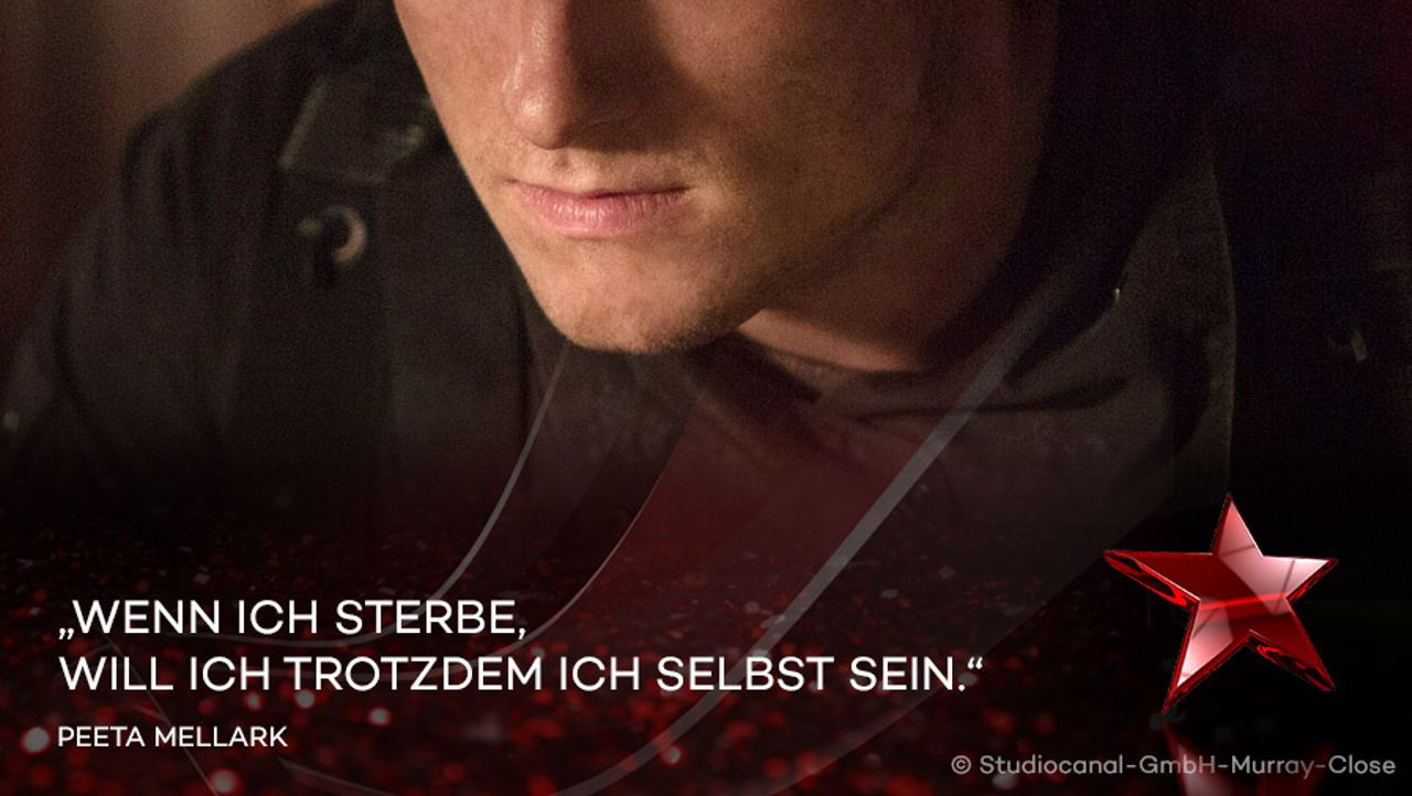 Stars Die besten Zitate aus "Die Tribute von Panem" ProSieben