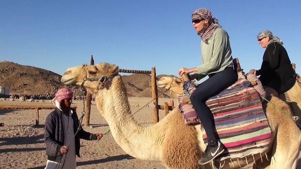 Abenteuer Leben - Abenteuer Leben - Mittwoch: Urlaubsschnäppchen Im Test