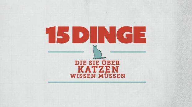 15 Dinge - 15 Dinge - 15 Dinge, Die Sie über Katzen Wissen Müssen!