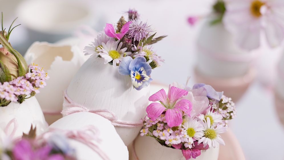 Last-minute-Ostergeschenke - SAT.1 Ratgeber