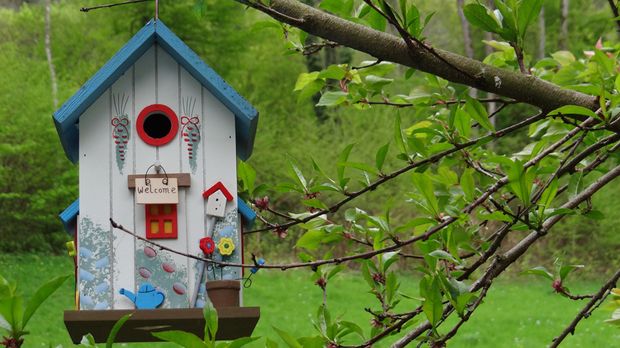 Tolle Gartengeschenke Im Weltbildgeschenkefinder