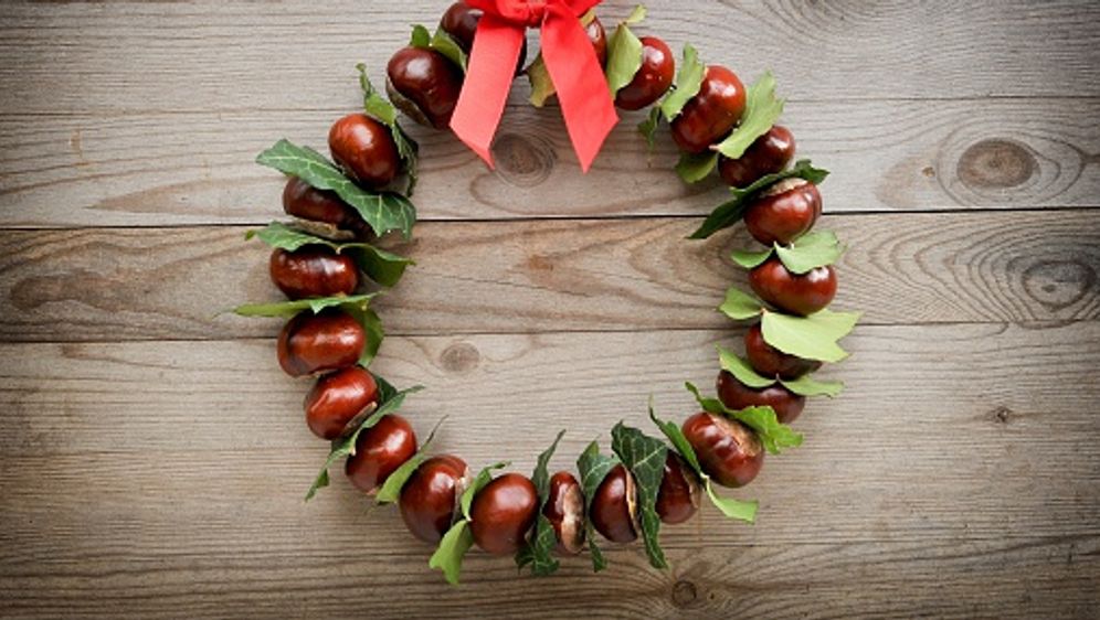 Basteln mit Kastanien – DIY – sixx.de