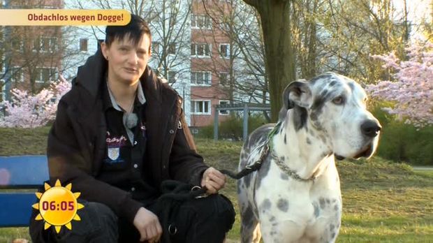 Frühstücksfernsehen Video Aus Liebe zum Hund obdachlos Sat.1