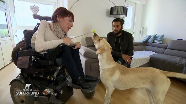 Projekt Superhund - Helfer Auf Vier Pfoten - Projekt Superhund - Helfer Auf Vier Pfoten - Sarah Und Fito Sind Ein Eingespieltes Team