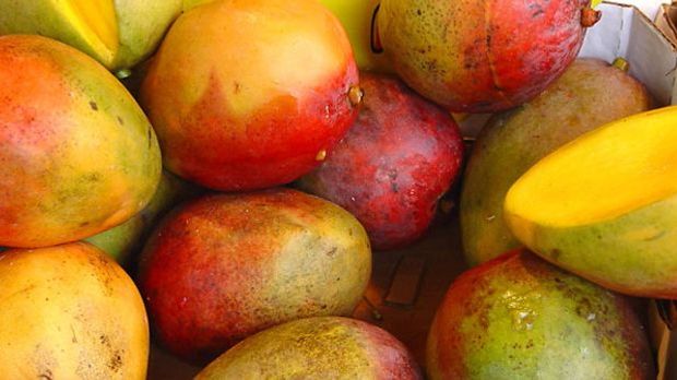 Mango-Feigen-Curry-Sauce