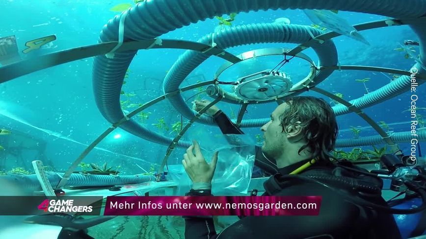 Gamechanger der Woche: Nemo’s Garden