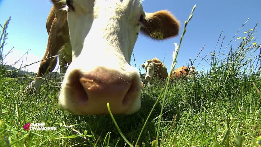 The fully digital farm - in 4Gamechangers TV